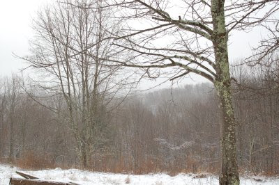 Snowy day on Droop Mountain, January, 2007