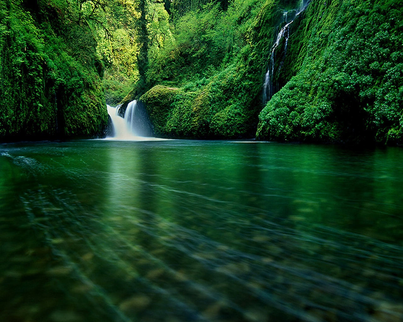 http://4.bp.blogspot.com/_KU3zHcdckOE/TNg7UhPhuOI/AAAAAAAAAAw/ZGZt9n2dhTA/s1600/Nice-Nature-wallpaper-9.jpg