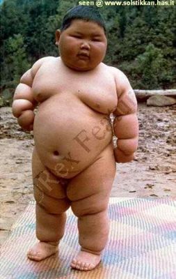 [normal_Fat+Sumo+kid.jpg]