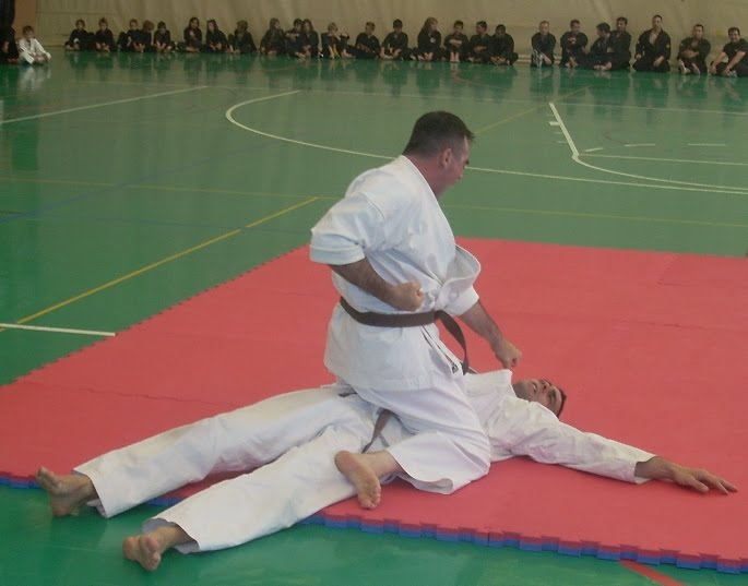 DEFENSA PERSONAL Y POLICIAL IV ENCUENTRO DE ARTES MARCIALES CIUDAD DE