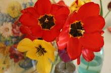 tulips from my garden