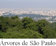Blog Árvores de São Paulo