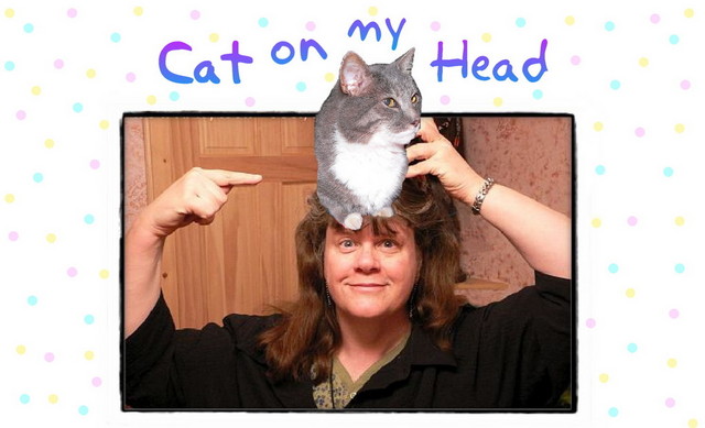 Cat On My Head