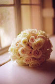 fruit of rose
