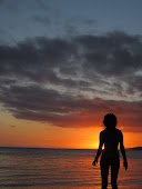 Silhouette Fiji.