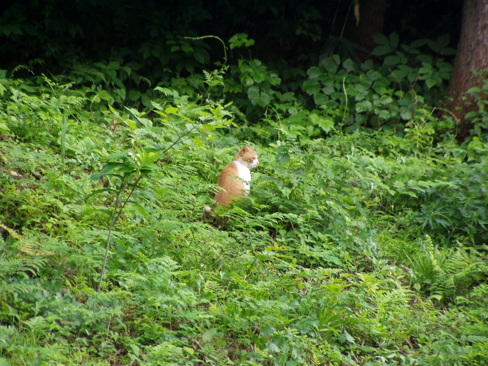 [P6260005.JPG]