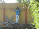 Mi foto