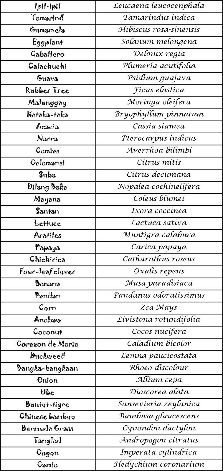 Flowers Their Scientific Namesand Pictures 94