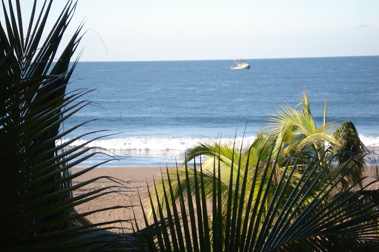 Shrimp Boat