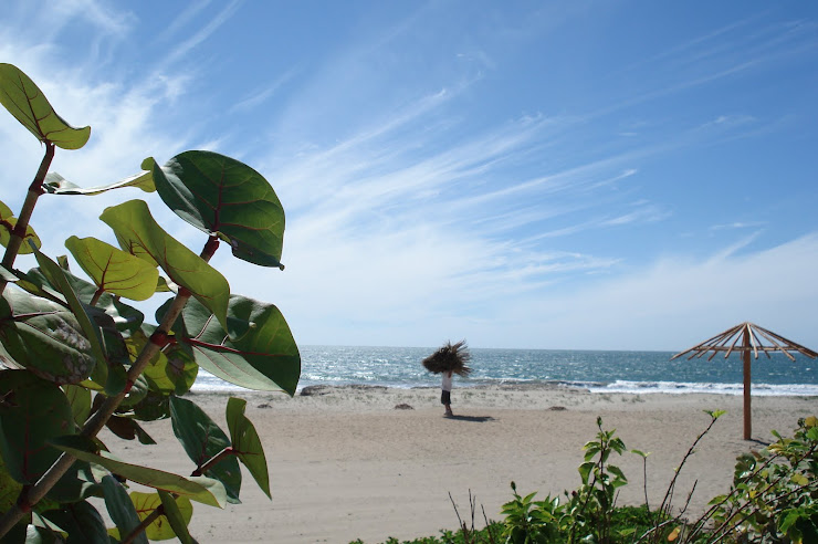 Carrying dried palm fronds