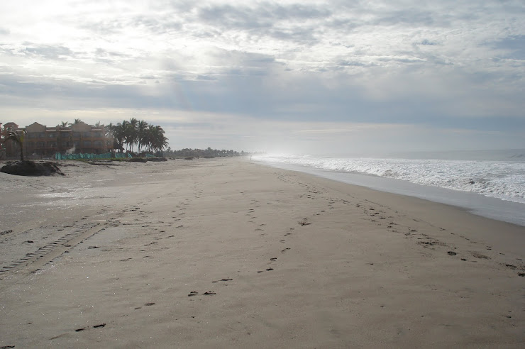 EDM beach looking toward clubhouse