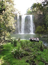 The great Whangarei Falls!