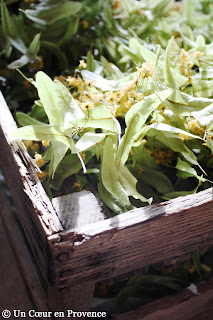 Linden flowers in old crates