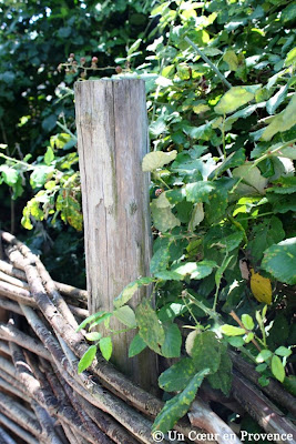 Detail of the organic vegetable garden of La Chassagnette