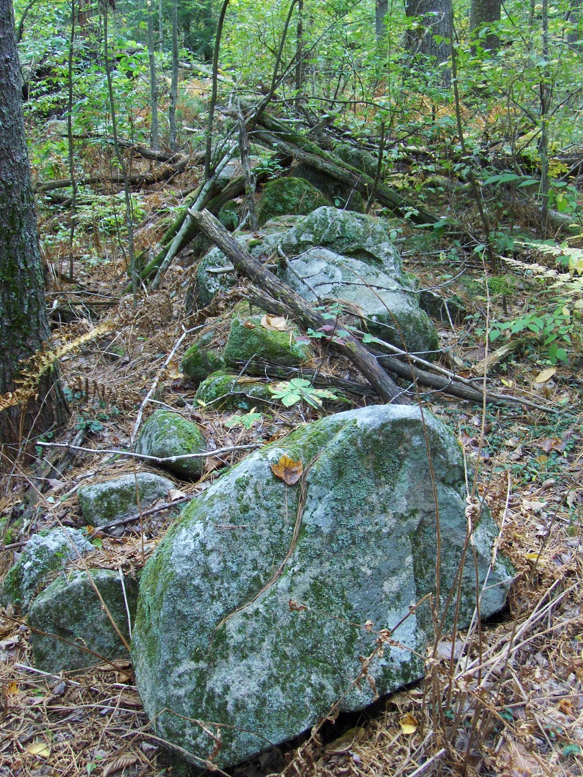 Rock Piles Townsend State Forest Delusions of Moundhood