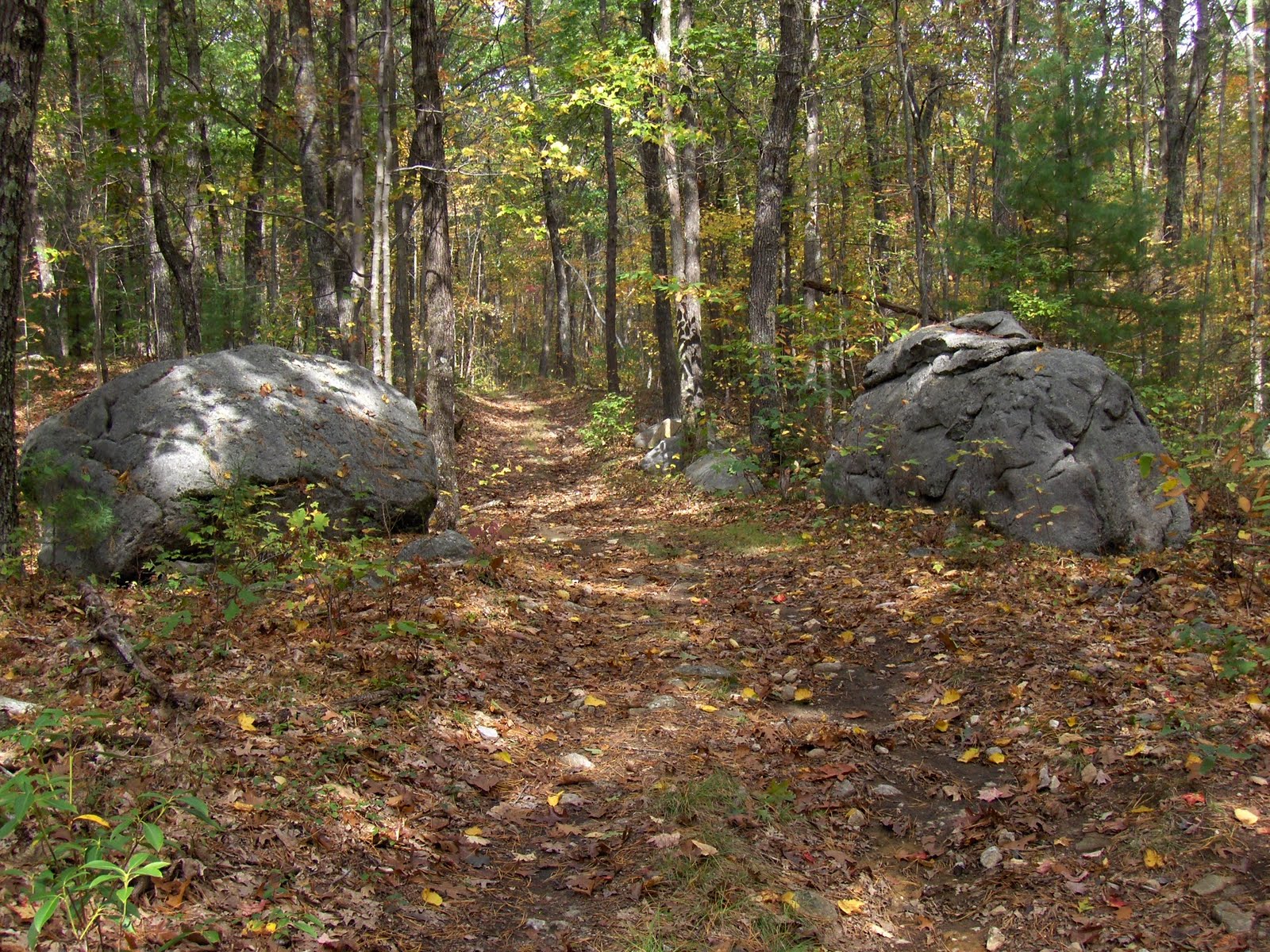 Rock Piles More on Townsend State Forest