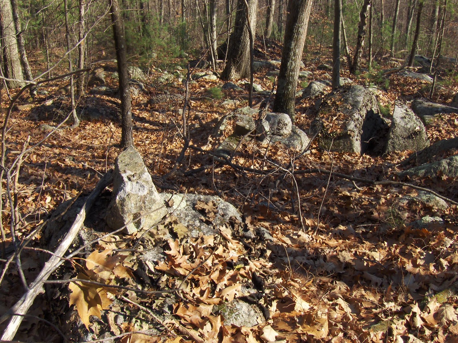 Rock Piles Southwest of Peppercorn Hill, Upton MA (part 1)