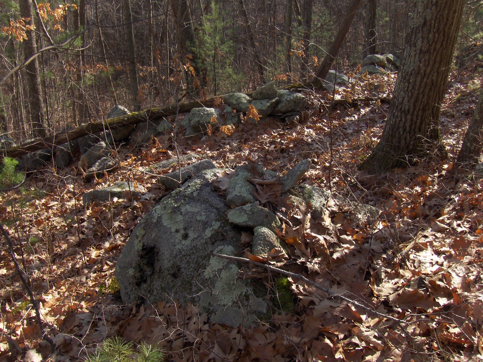 Rock Piles Southwest of Peppercorn Hill, Upton MA (part 1)