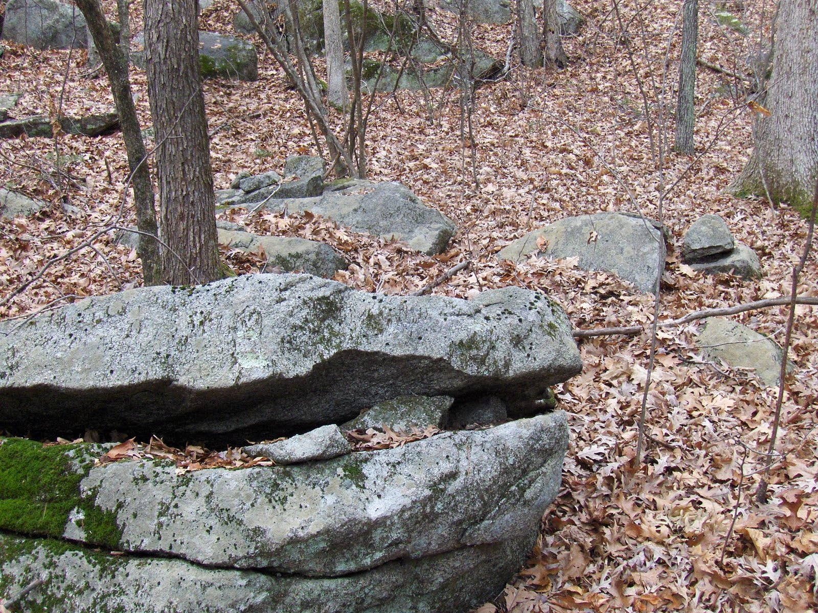 Rock Piles Southwest of Peppercorn Hill, Upton MA (part 2)