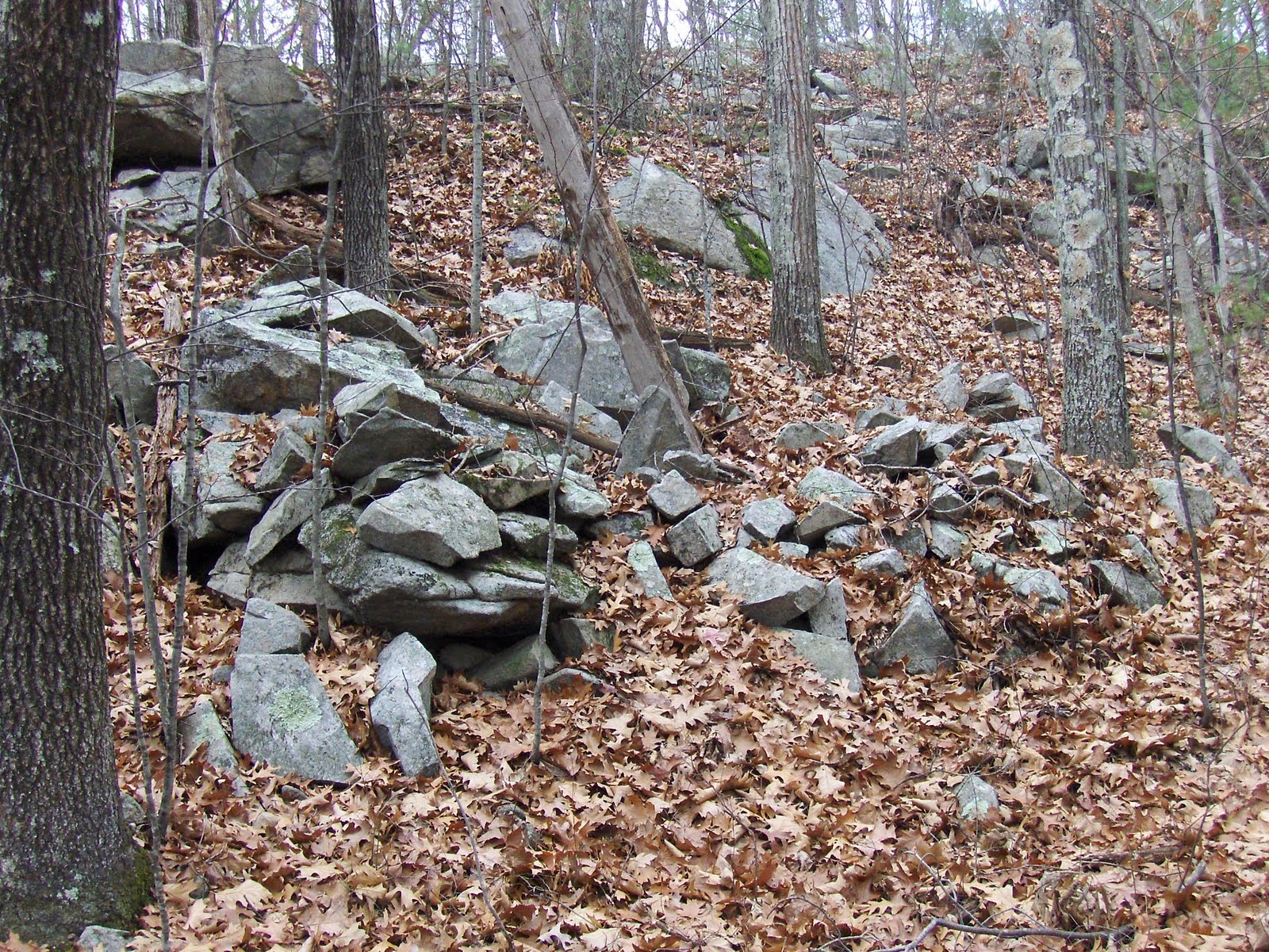 Rock Piles Southwest of Peppercorn Hill, Upton MA (part 3)