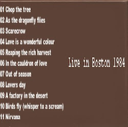 icicle funny quotes icicles works scream whisper fly birds quotesgram lien commentaires dans les