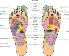 El mapa de los pies