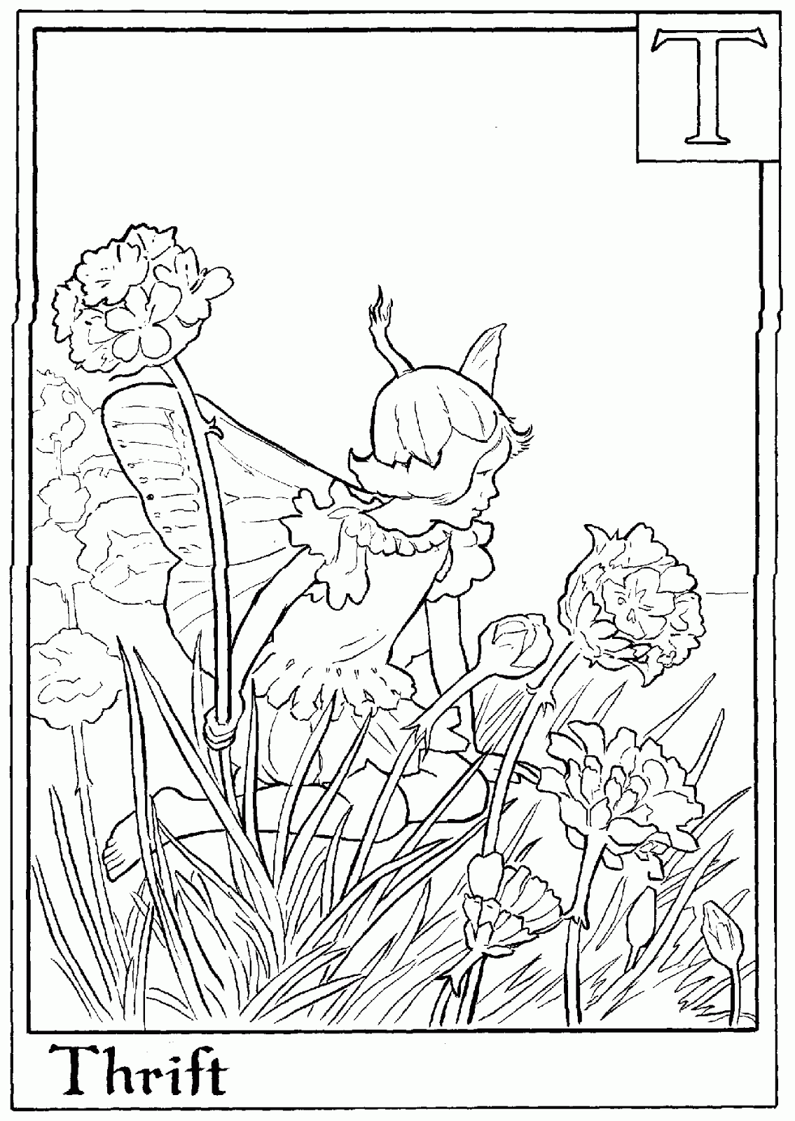 fairy flower coloring pages - photo #2