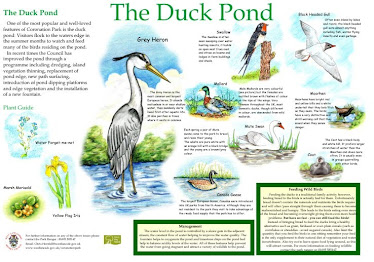 Coronation Park, Duck Pond Interpretation