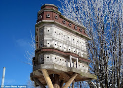 bird houses huge mansion birdhouse luxury birds wood giant sparrows birdhouses massive winter rooms pool flocks cedar comes fly wooden