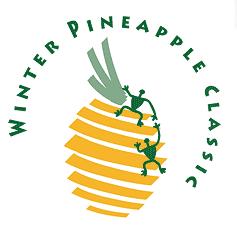 [winter-pineapple.jpg]