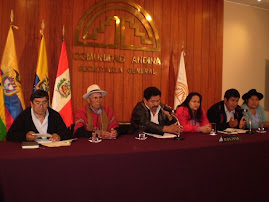 REPRESENTANTES DE MOVIMIENTOS INDIGENAS DE BOLIVIA