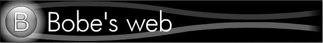 bobe's web