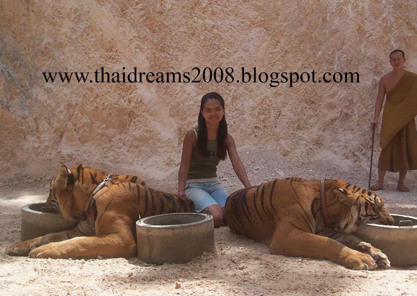 [TigerTemple1.jpg]
