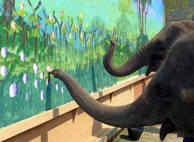 [elefante.jpg]