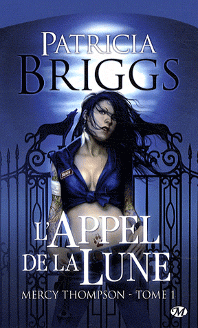 http://4.bp.blogspot.com/_Knydo2UenyI/TT3hjzINfsI/AAAAAAAAAbY/jlYmDrQq2ww/s1600/mercy+tome+1.jpeg