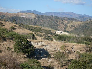 En Bohechío sembrán 4 millones de árboles