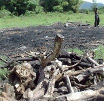 [02666301-04D3-452D-880F-096724BE36E2_jpg__209__400__CROPz0x209y400.jpeg]