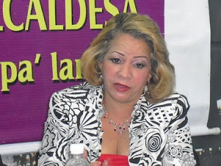 Síndico denuncia destrucción de vallas por desconocidos