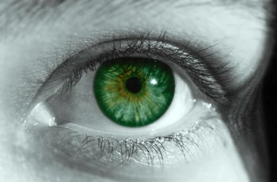 [O+teu+olhar.gif.jpg"><img]