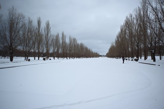 [IMG_2505.JPG]