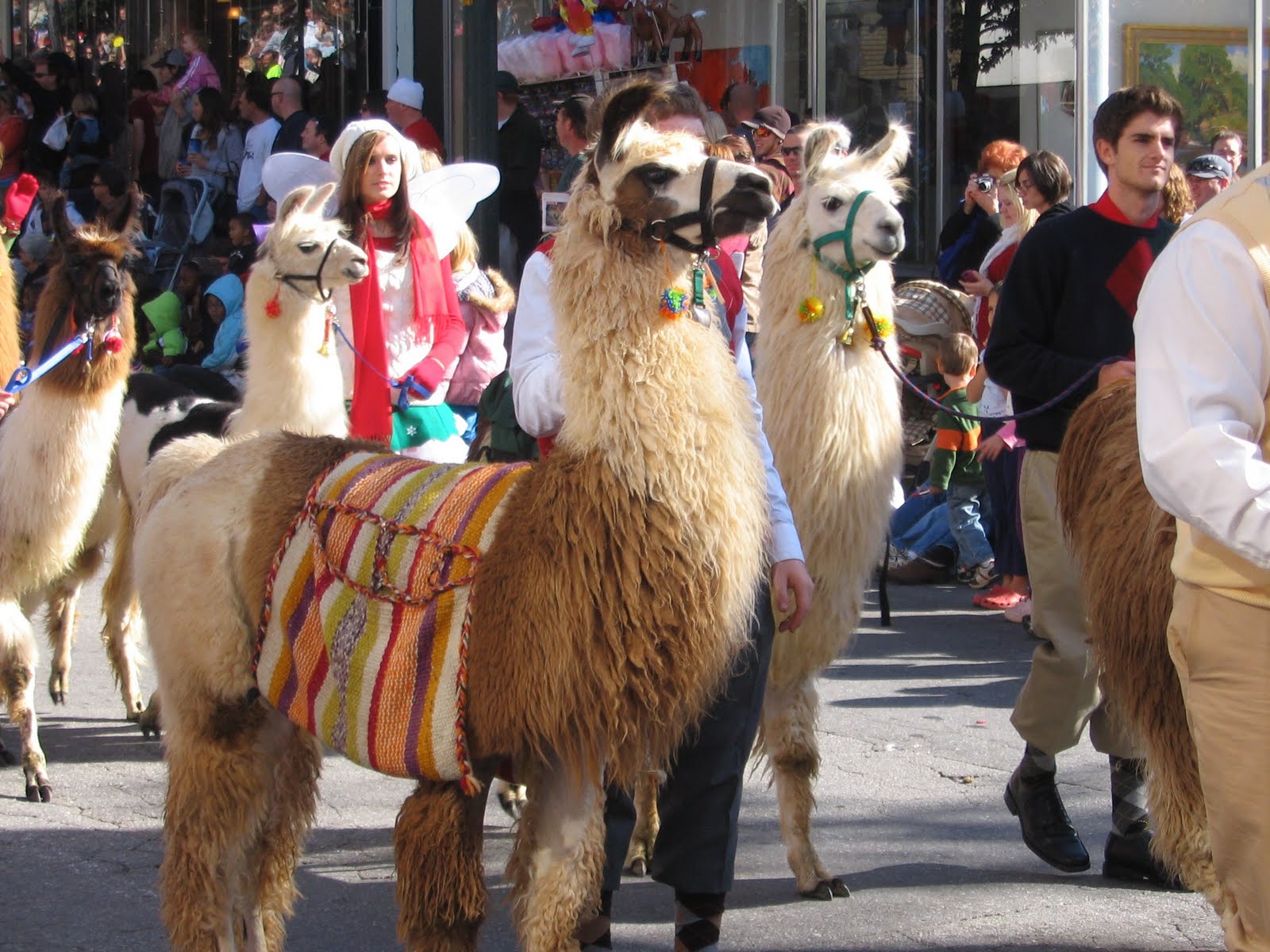 islandman Asheville Christmas Parade