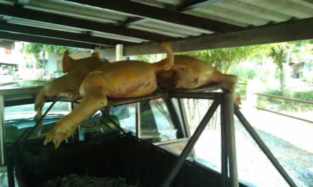 BBQ Pork in Pattaya