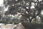 Bonaventure Cemetery, Savannah