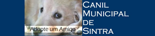 Canil Municipal de Sintra/Cães