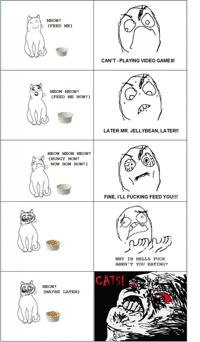 TrollCat.jpg