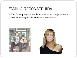 carmen alejandra santillan morales: TIPOS DE FAMILIA