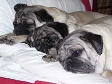 NAP TIME