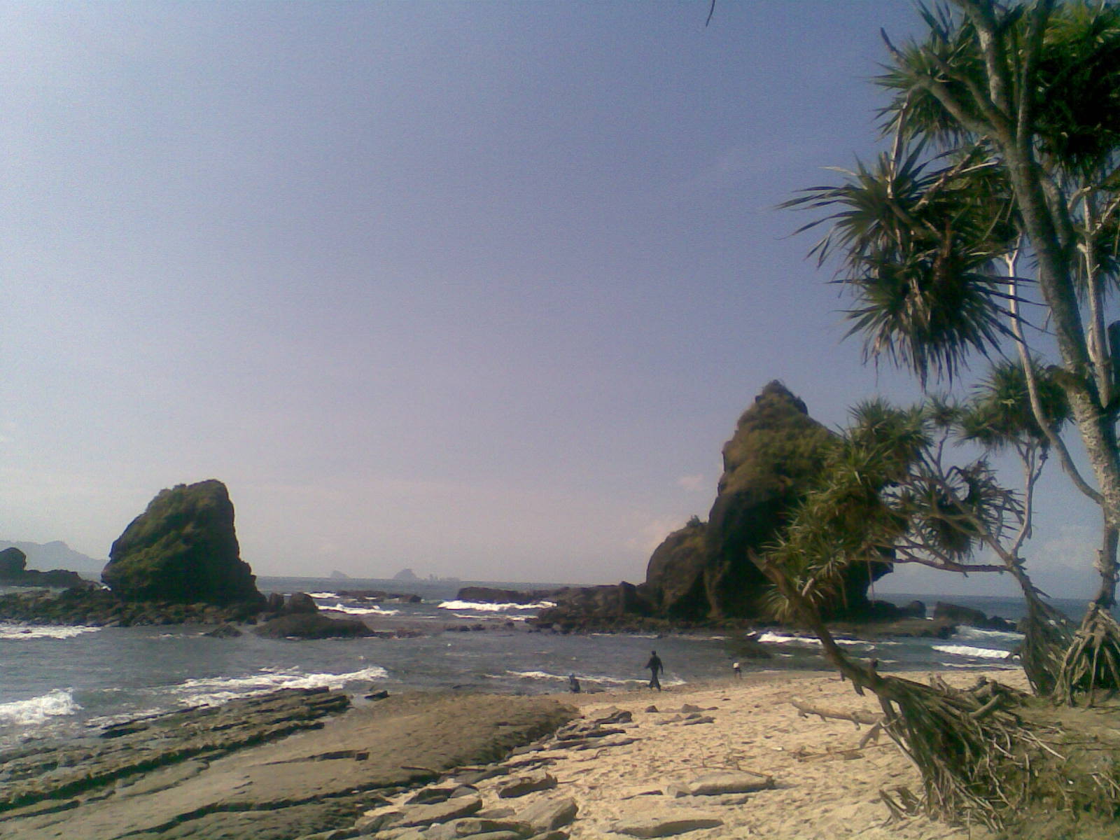 Wisata Cantik Indonesia Tanjung Papuma Jember Wisata Cantik Indonesia Tanjung Papuma Jember