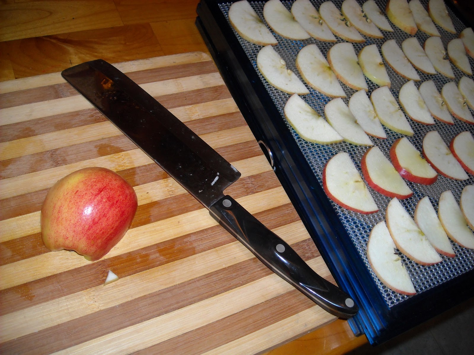 Simply Scaife Family Farm Simple Snacks....Dehydrated Apple Chips