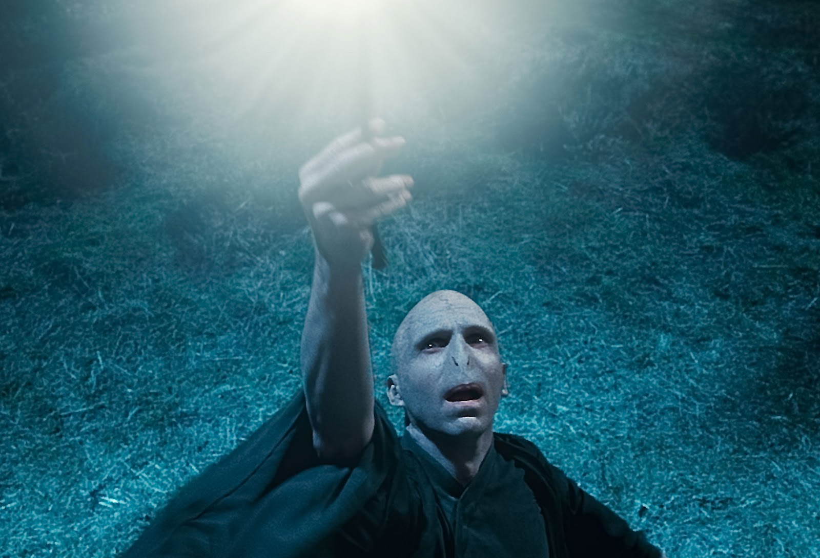 Si Howard Harry Potter and the Deathly Hallows Part 1